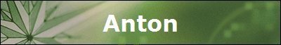 Anton