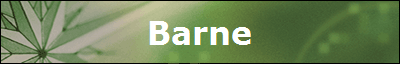 Barne